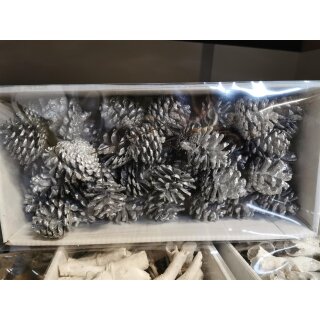 Naturdeko Zapfen silber mit Glitzer in Box